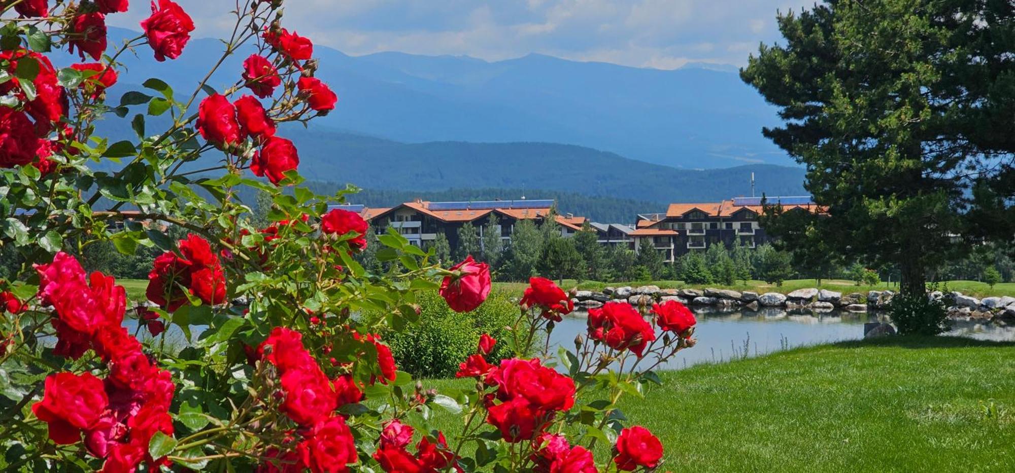 Green Peaks Suite In Pirin Golf & County Club Разлог Екстериор снимка